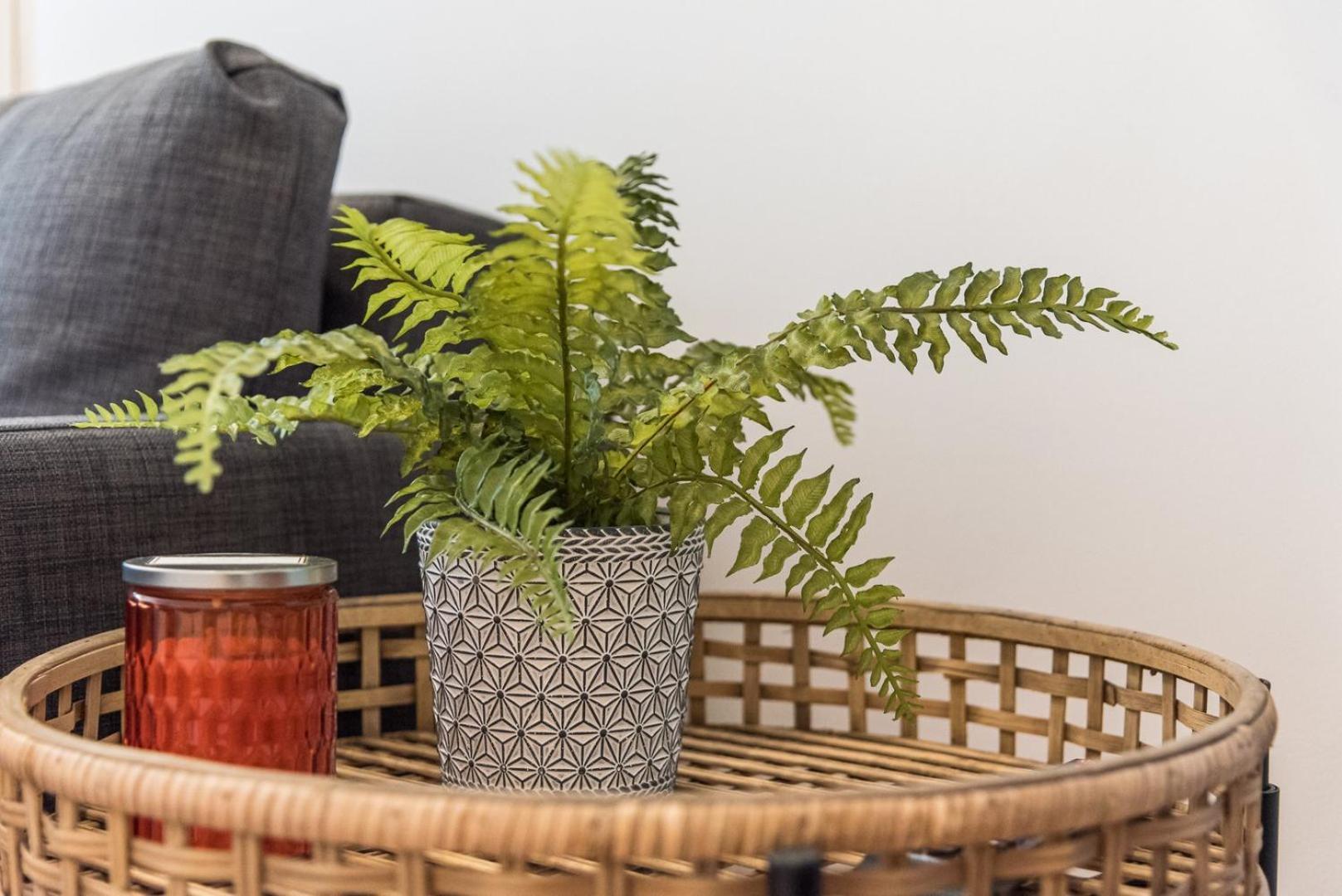 Guestready - Yazdah Flat 3 Lägenhet OOporto Exteriör bild